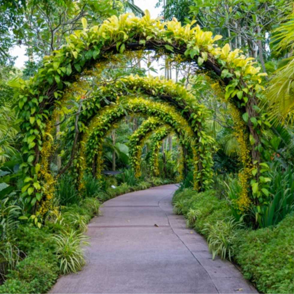 INVENTARIO  SOLEMNE DE BIENES PARA QUIENES VAN A CONTRAER SEGUNDAS NUPCIAS.